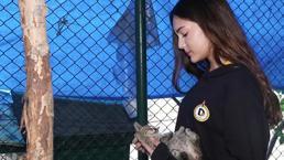 Demirören MTAL öğrencilerinden sokak hayvanlarına mama desteği