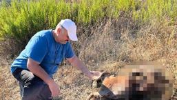 Şehir dışına çıktı, döndüğünde hayatının şokunu yaşadı! ‘Ne olduğunu bilmiyoruz’