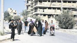 ‘Kati çözüm silahsızlandırma’