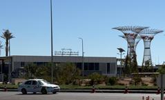 Dünyanın gözü Mısır'daki Hamas-İsrail müzakerelerinde! WSJ, Hamas'ın 'Sinvar' şartını yazdı