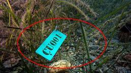 Dünyada tek! Marmara'nın dibindaki son sığınak: Tabela yerleştirildi