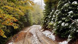 İstanbul’un yanı başı! Her yer beyaza büründü