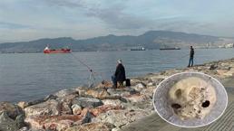 Balık tutarken dehşeti yaşadı! Oltasına insan kafatası takıldı