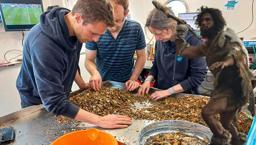 Kayıp kara parçasının sırları çözüldü! Bir zamanlar mamutlar, dev geyikler yaşıyordu