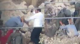 Batı Şeria'da zeytin toplayan Filistinlilere İsrail zulmü! Sopa ve köpeklerle saldırdılar