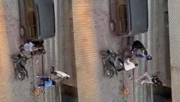 Eski sevgili kabusu kamerada! Kadın ve erkek arkadaşı sokak ortasında darbedildi