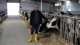 Devlet desteğiyle kurdu! Günlük 1 ton süt elde ediyor