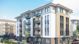 Sosyal konuta hücum