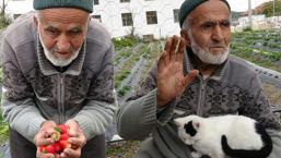 Sosyal medya 85 yaşındaki İbrahim dedeyi konuşuyor! 'Yaptığı bu hareket kelimelerle anlatılmaz’