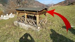 Sıra dışı vasiyet: Büyük adamların mezarı kapalı olur