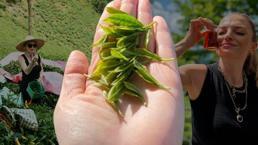 Çaya gitmemek için dua ederdi, şimdi ustası oldu!