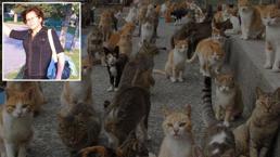 İzmir'den kahreden haber! 30 kedisiyle birlikte hayatını kaybetti