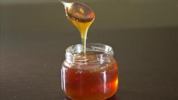 Doğu Karadeniz'in bal ihracatı 1,8 milyon doları aştı