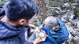 Sonbaharın gelişiyle ormana akın ettiler: 'Bunu görünce insan kendini kaybediyor'