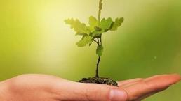 COP30'da küresel "yeşil sanayileşme" gündemi güçlendi