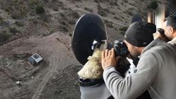 Dünyada sadece 3 noktada görülüyor, biri de Bolu’da! ‘Çok ender yerlerden bir tanesi’