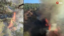 Hatay'da çıkan orman yangını kontrol altına alındı