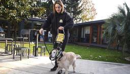 Hayat kurtaran patiler, görme engellilerin gözleri oluyorlar! Türkiye’de sadece 11 tane var