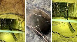 Tünel kazıp ülke değiştirdiler! 5 ülkeden 180 göçmenin film gibi kaçışı