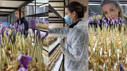 Mesleğinden vazgeçti, üretimine başladı! Gramı 700 liradan satılıyor: Risklerle karşı karşıyasınız