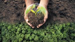 Türkiye’nin İklim Elçileri, Milliyet’e konuştu: ‘COP31’de biz de masada olmalıyız’