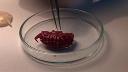 Akdeniz’de sessizce değişiyor! Türkiye kıyılarında ilk kez görüldü