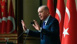 Cumhurbaşkanı Erdoğan'dan Karadeniz'deki saldırılara ilişkin açıklama: Taraflara ikazlarımızı iletiyoruz