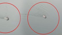 Görür görmez telefona sarıldı! Baraj gölünü yüzerek geçti