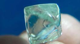 2 arkadaş şans eseri buldu! 55 bin dolar değerinde