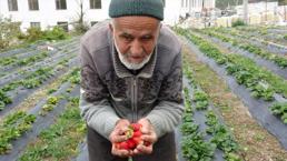 Yaptığı yürekleri ısıtan hareketle Türkiye onu konuşmuştu! 'İbrahim Dede'den acı haber