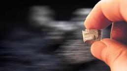 NTE yarışına AB de katılıyor