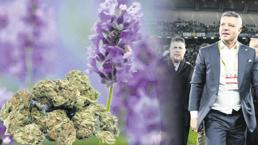 Sadettin Saran'ın bekçisi gözaltında: Lavanta mı, esrar mı?