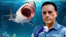 Köpek balığı yüzünü ısırdı, hayatta kaldı! 'İsteseydi öldürebilirdi, hayatımı bağışladı'