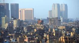 Bir ülkeyi istila ettiler, aynı türden Türkiye'de de var! Uzmanlar uyardı: Özellikle bu bölgelerde çoğalıyorlar