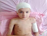 Sokak köpeği dehşeti davasında emsal karar! Aileye rekor tazminat ödenecek