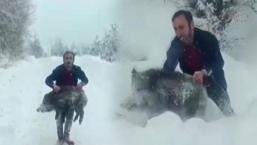 Yavru domuzu elleriyle yakalamıştı! 15 bin liralık şok ceza