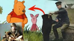 Savaş cephesinden çıkan masal: Winnie The Pooh'nun gerçek hikayesi! 20 dolara alındı...