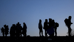 Bakan Yerlikaya açıkladı: 81 ilde 478 düzensiz göçmen yakalandı