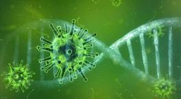 Yarasadan yayılan bir virüs daha: Tedavisi hala yok, ölüm oranı korkunç!