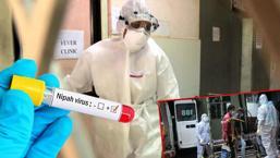 Covid'den 5 kat daha güçlü! Nipah virüsü nereden çıktı, pandemiye dönüşür mü?