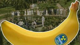 Market rafındaki muz ülkeleri nasıl yönetti? Çikita'nın darbelere uzanan 127 yıllık hikâyesi