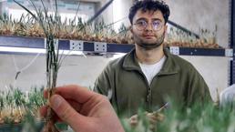 Deneme diye başladı mesleği oldu! Bir odalık alanda altın gibi üretim: 'Gramı 600 TL’ye satılıyor'