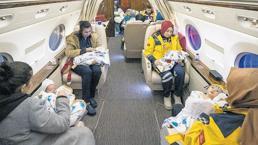 Hayat küllerinden doğarken