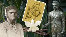 Bir çocuk köle, milyar dolarlık sektörü nasıl doğurdu?