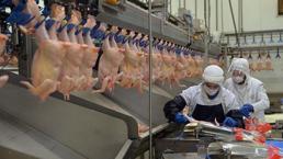 &lsquo;Zarar i&ccedil;eriden fiyat d&uuml;şmez&rsquo;