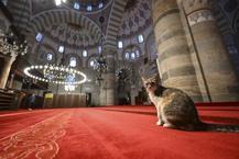 Üsküdar’ın silüetini çizen Mihrimah Sultan Camisi yüzyıllardır İstanbul’u karşılıyor