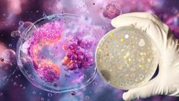 Otizmde hayat değiştiren detay: Bakteri düzeni