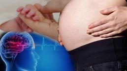 İkinci gebelik beyni değiştiriyor! Etkisi kalıcı olabilir: 'Kayıp değil, verimlilik artıyor'