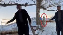 Akılalmaz olay! Çok fazla yediği için köpeğini asarak öldürdü