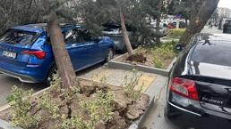 Ankara'yı fırtına vurdu: Ağaçlar devrildi, araçlar zarar gördü